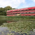 IMG_810606