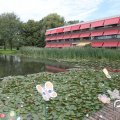 IMG_810607