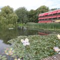 IMG_810608