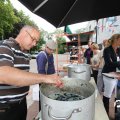 IMG_810985