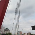 IMG_811465