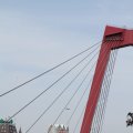 IMG_811650