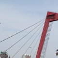IMG_811651