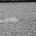 IMG_811806