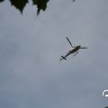 IMG_811902