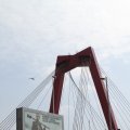 IMG_811910