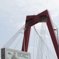 IMG_811912