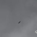 IMG_812016