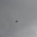 IMG_812018