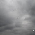 IMG_812026