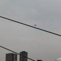 IMG_812522
