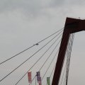 IMG_812531