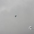 IMG_813044