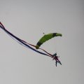 IMG_813061