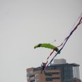 IMG_813065
