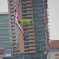 IMG_813067