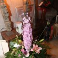IMG_815410