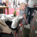 IMG_815459