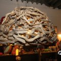 IMG_815506