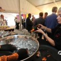 IMG_815235