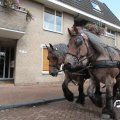 IMG_816010