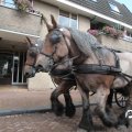 IMG_816011