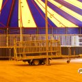 IMG_816155