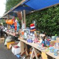 IMG_815771