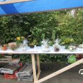IMG_815836