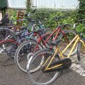 IMG_815859