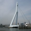 IMG_818773