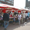 IMG_818890