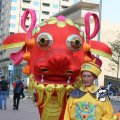 IMG_818899
