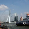 IMG_818998