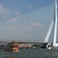 IMG_819004