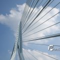 IMG_819028