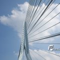 IMG_819029