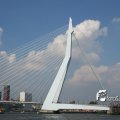 IMG_819045