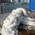 IMG_819056