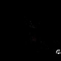 01409i2011