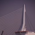 01021i2011