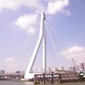01196i2011