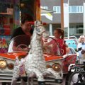 IMG_821195