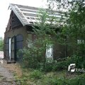 IMG_821242
