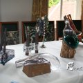 IMG_819147