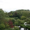 IMG_819164