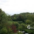 IMG_819166