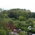IMG_819167