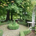 IMG_819223