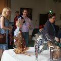 IMG_819258